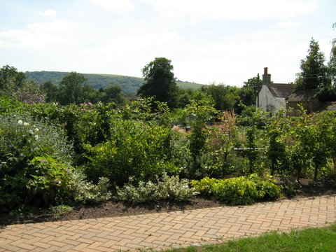 The burial ground in hassocks