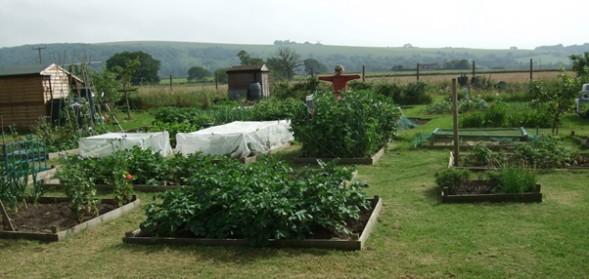 allotments